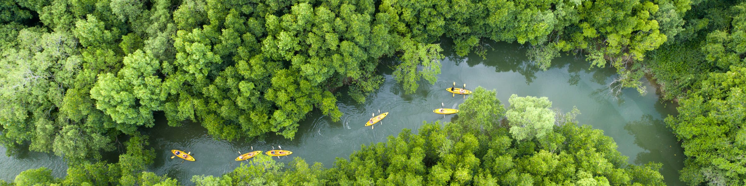 Elephant Hills The Lake Camp