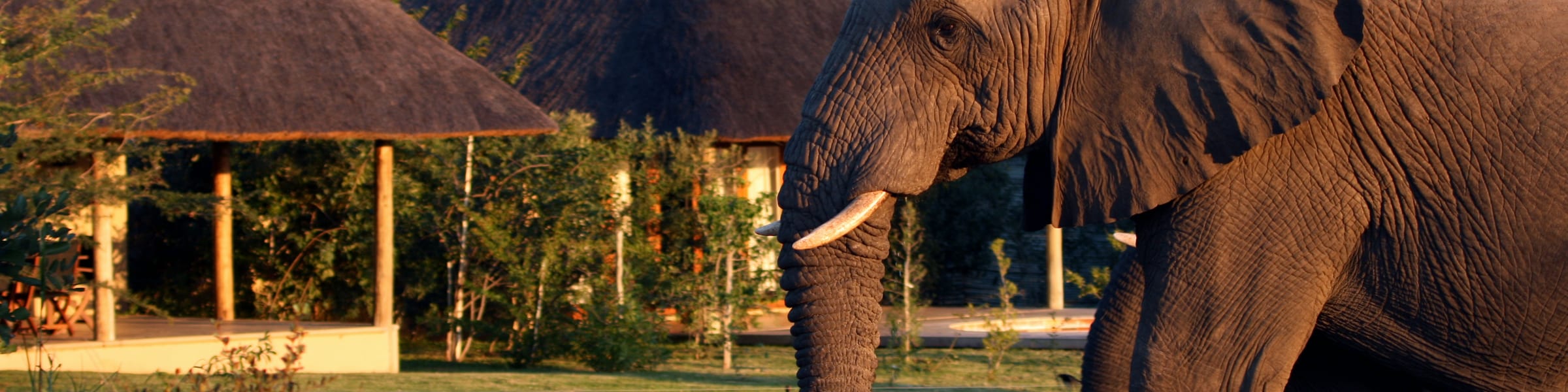 Savanna Private Game Reserve