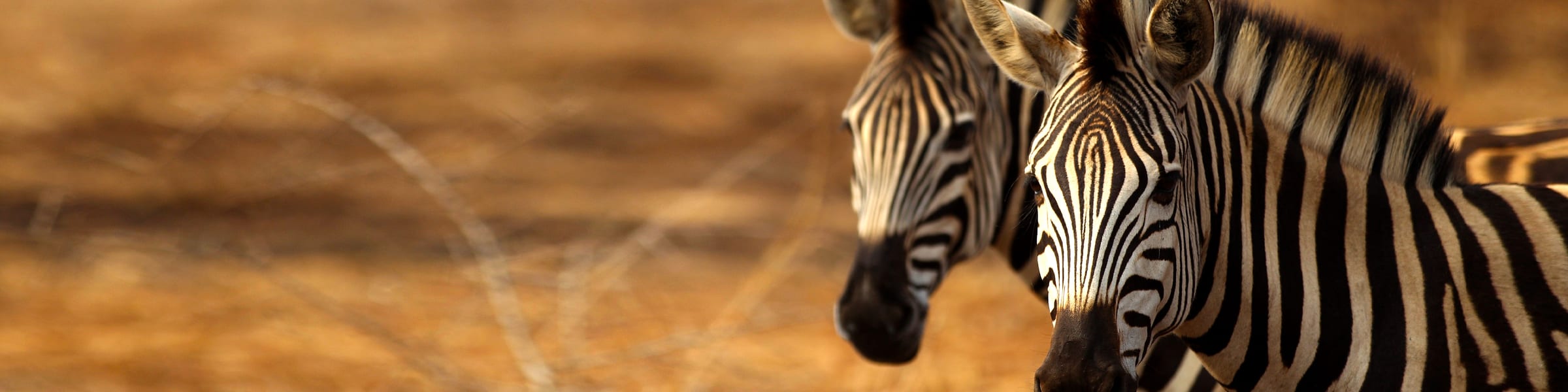 South Africa Hotels