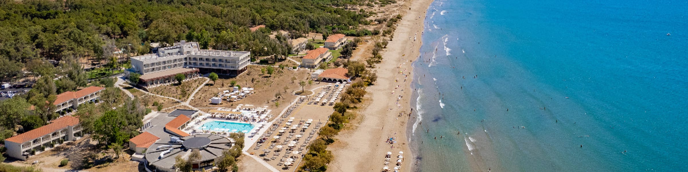 Domes Aulus Zante, Autograph Collection