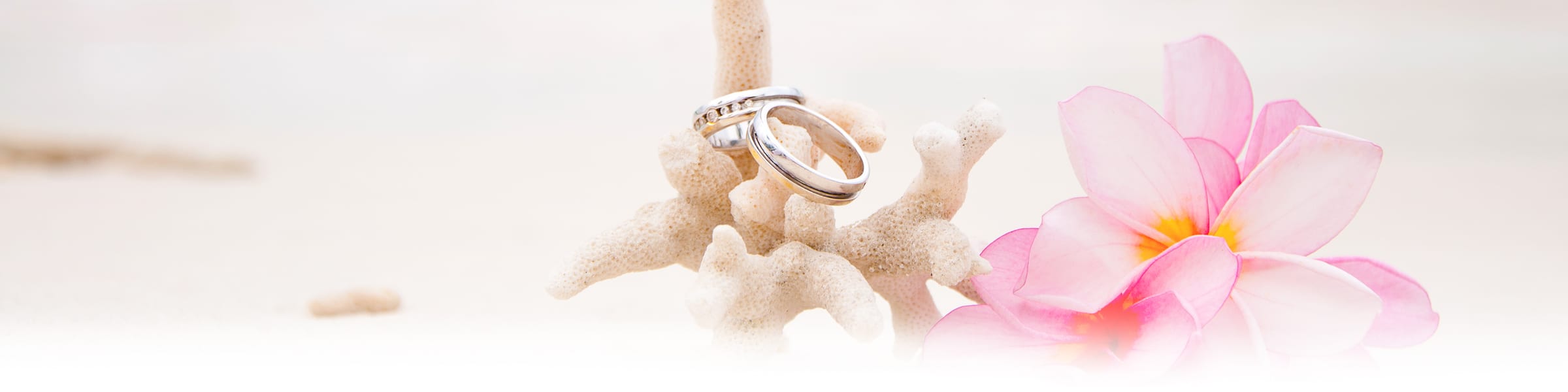 Wedding Enquiry Complete