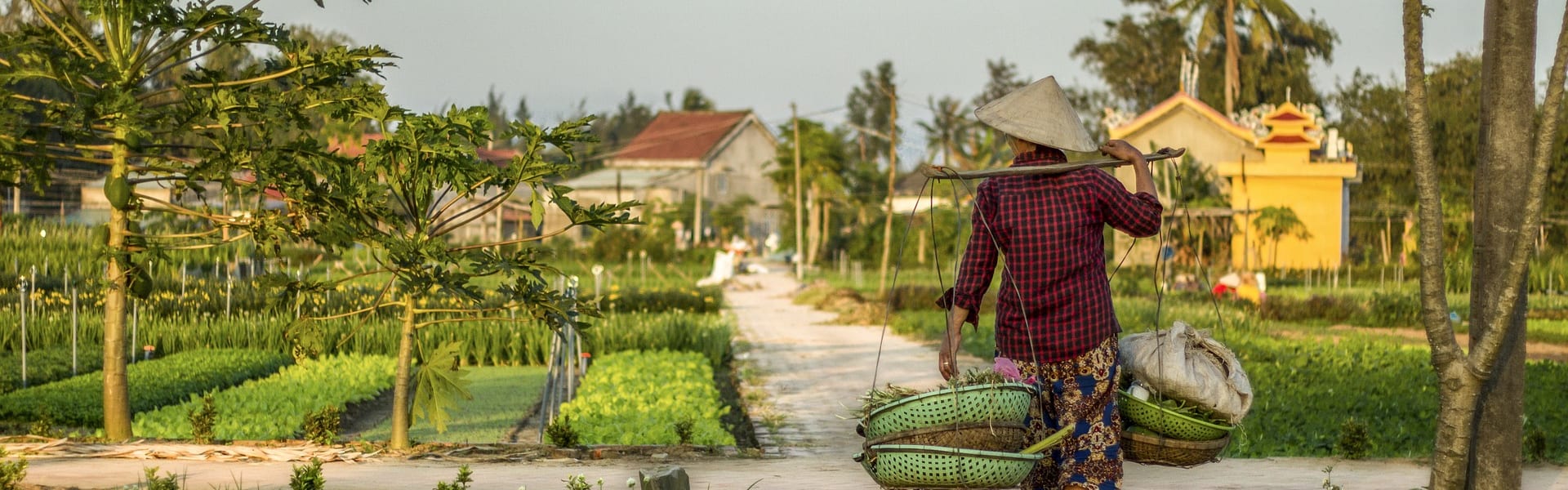 Hoi An & Da Nang Hotels