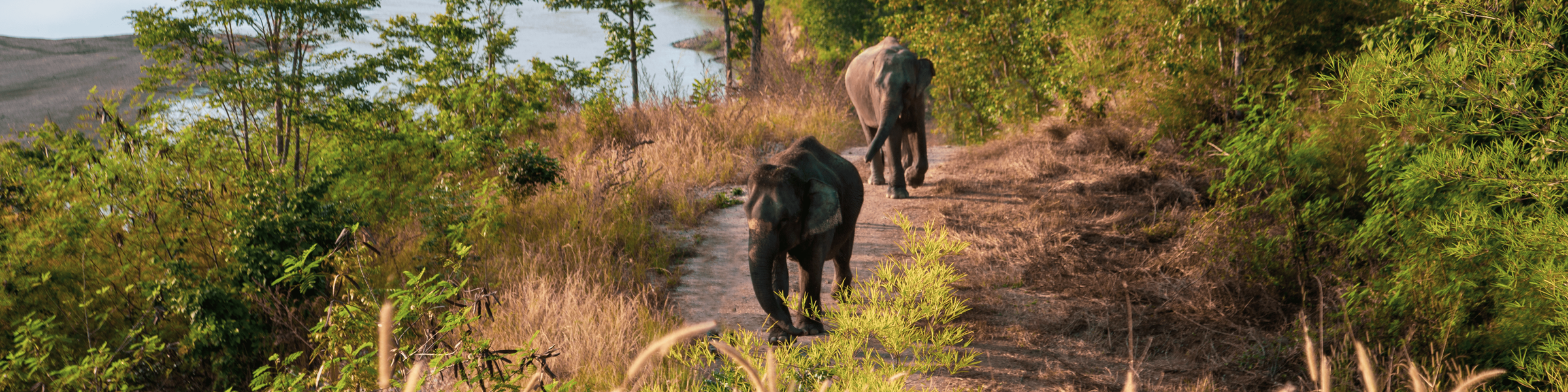 Elephant Hills & Beach Getaway