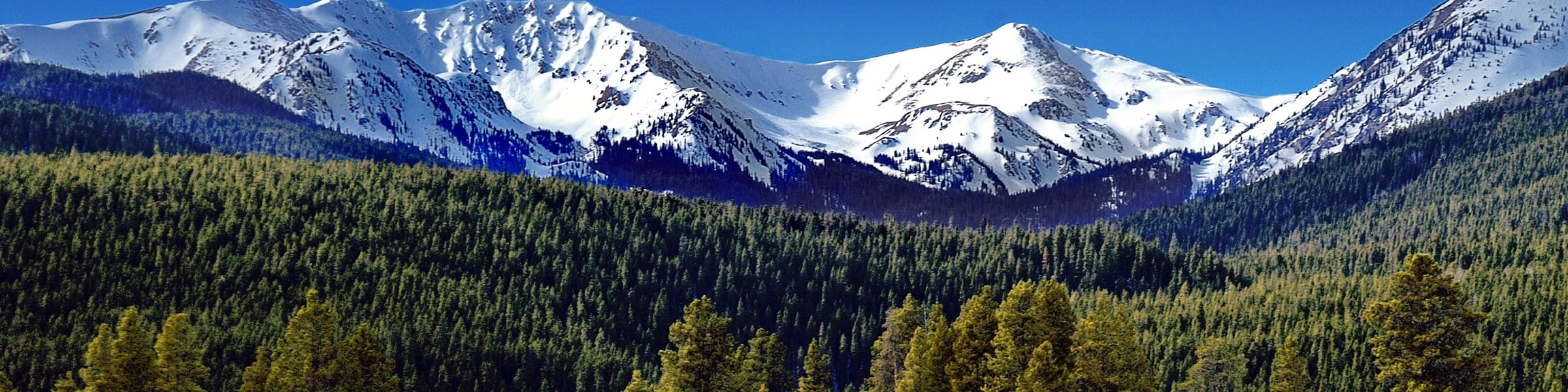 Denver & Colorado Springs Hotels