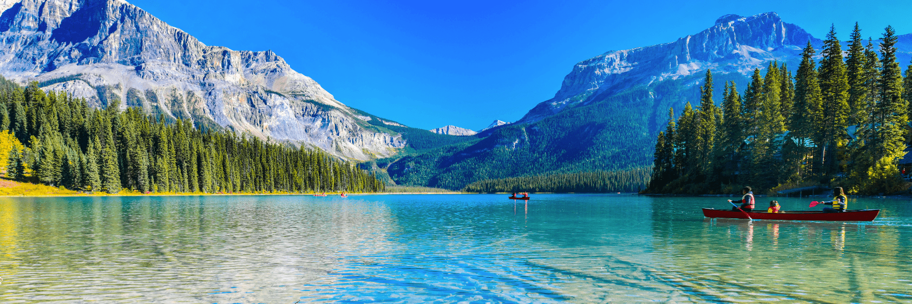 North America Cruises