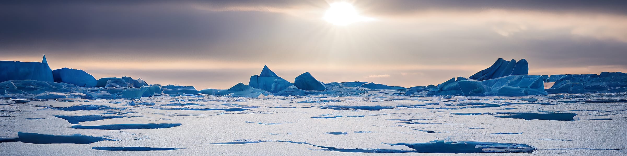 Polar Region Cruises