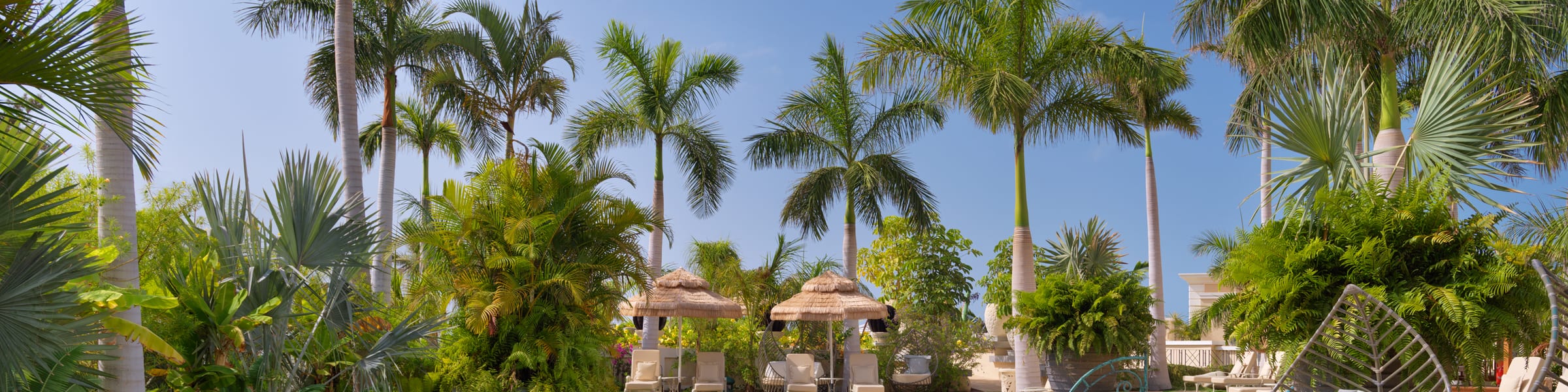 Royal River Tenerife