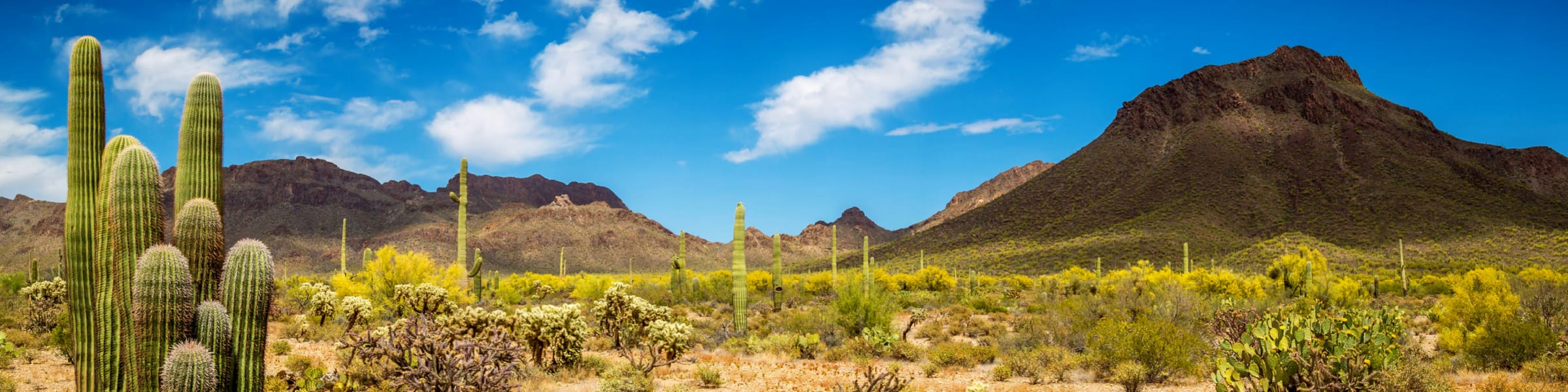 Pioneer Trails - 18 day Self Drive with flights