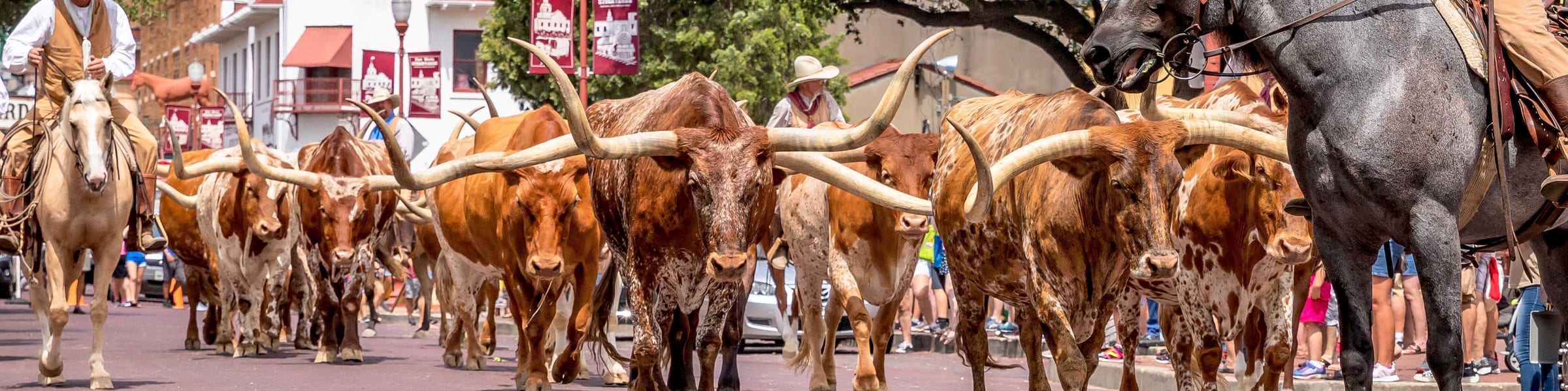 The Heart of Texas - 14 day Self Drive with flights
