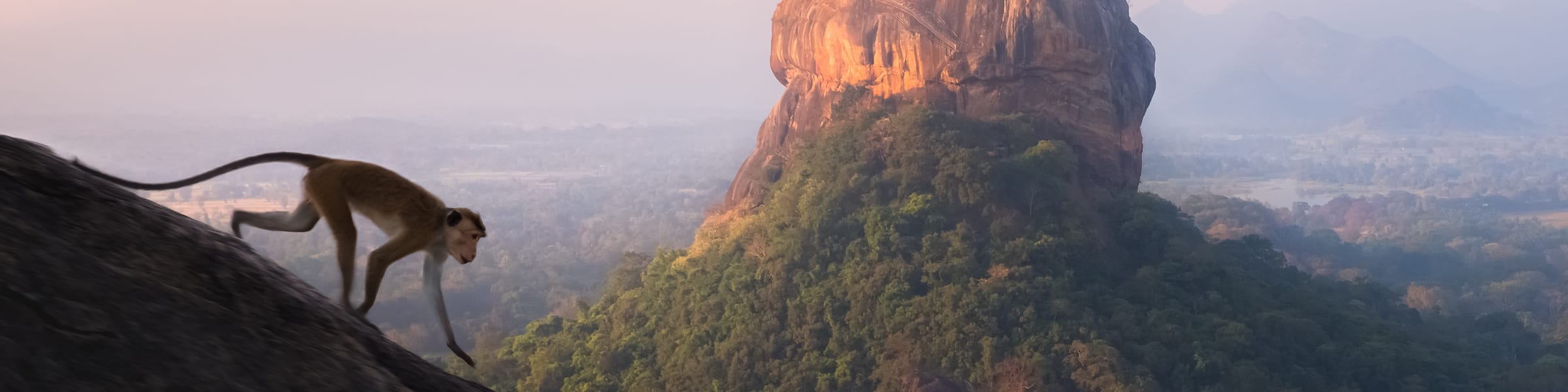 Sri Lanka Culture & Wildlife 14 Night Private Tour