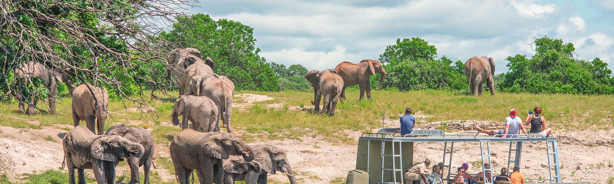Chobe River Cruises