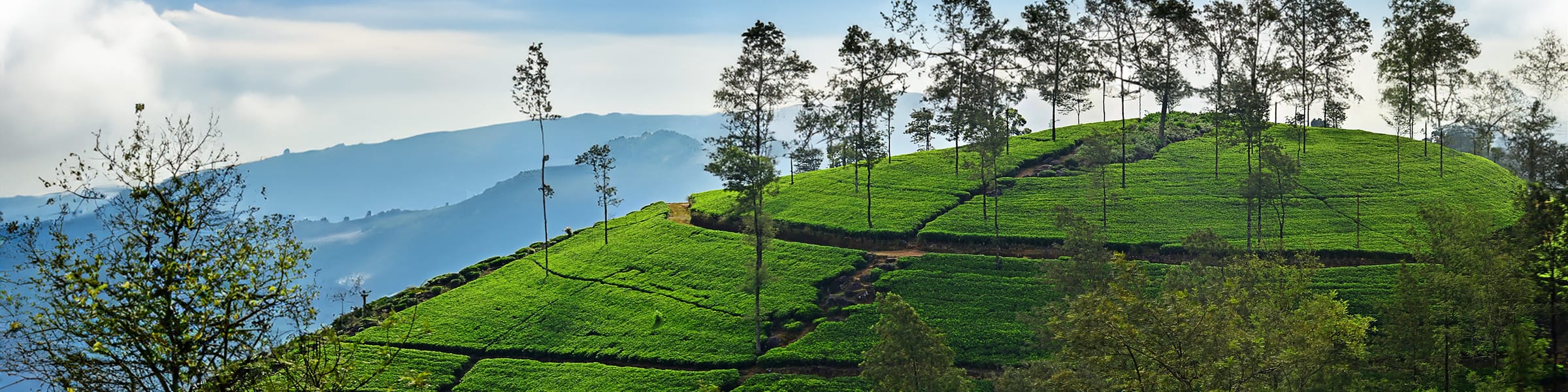 Culture & Wildlife Expedition