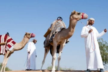Taking a camel ride at Banyan Tree Al Wadi