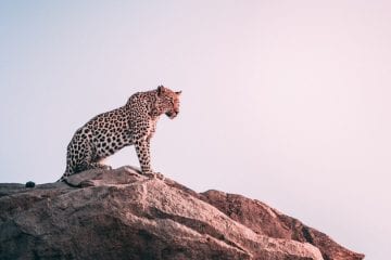 top-travel-tv-for-armchair-adventurers