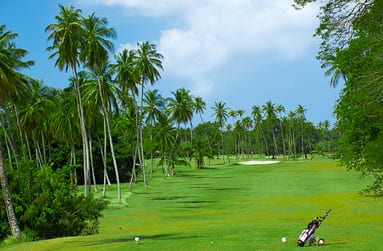 Mount Irvine Bay Resort