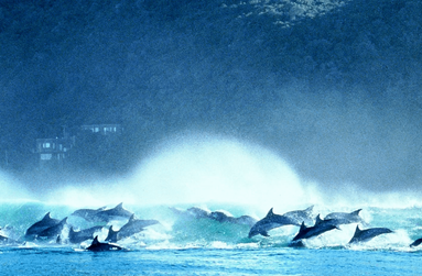 Hog Hollow Country Lodge