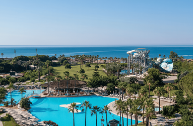 Lara Barut Collection