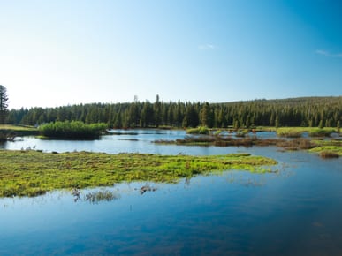 Hike around Tuolumne Meadows