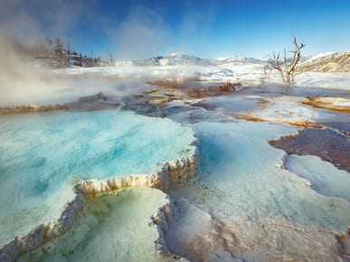 Visit Mammoth Hot Springs