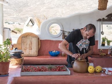 Mykonos Vioma Organic Farm & Vineyard