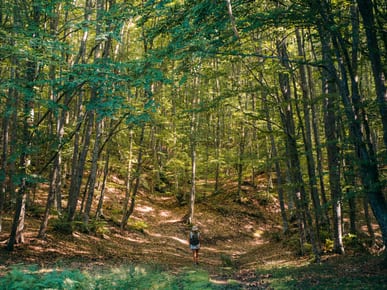 Discover Mount Holomondas