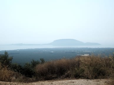 Proti Island