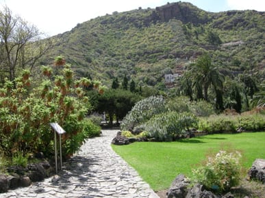 Jardín Botánico Canario