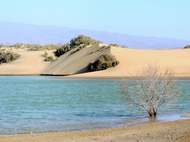 Maspalomas Beach