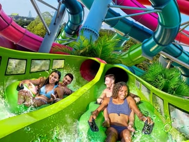 Aquatica