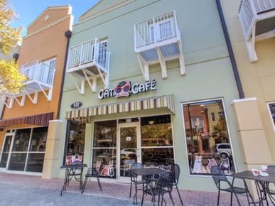 Orlando Cat Café