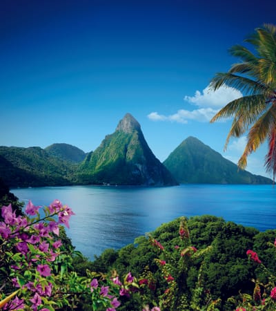 St. Lucia & Beyond