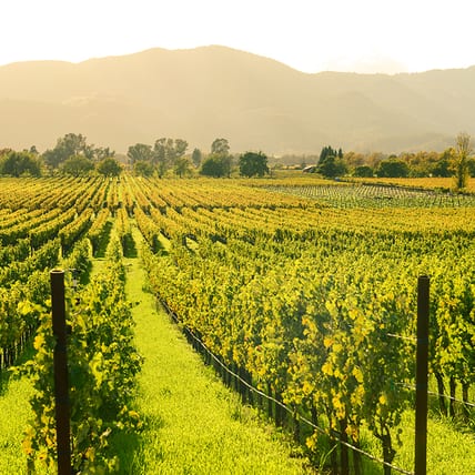 shutterstock-512262166