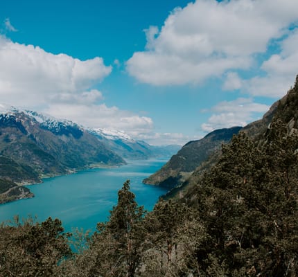 Spitsbergen: Realm of the Ice Bear