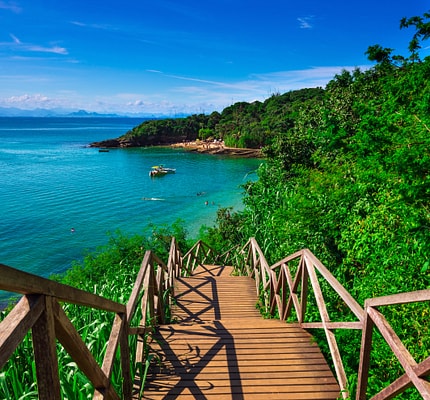 Samba to Serenity: A South Americen Discovery