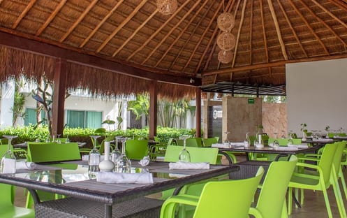 Lizzards - Healthier & Better