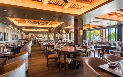 Morimoto Aisa Waikiki