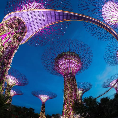 Koh Samui & Singapore