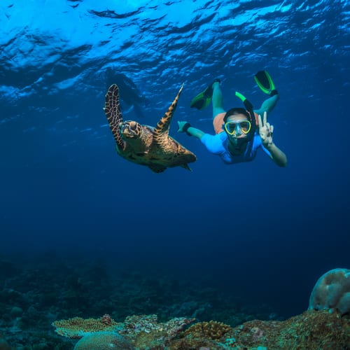 Mauritius & Seychelles