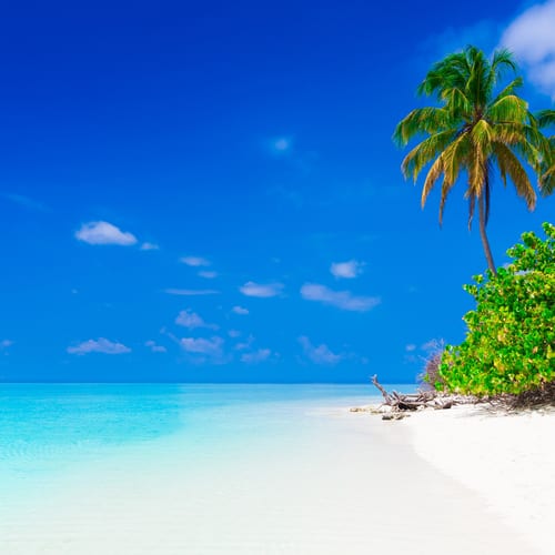 Abu Dhabi & Maldives