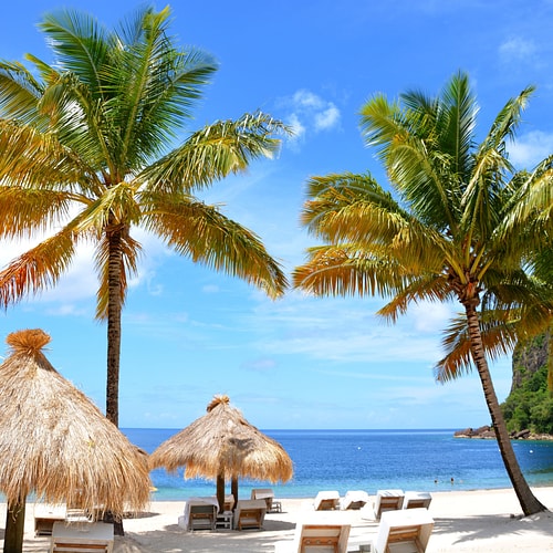 New York & St. Lucia