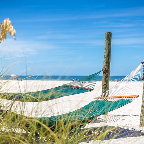 Walt Disney World & St Pete & Clearwater