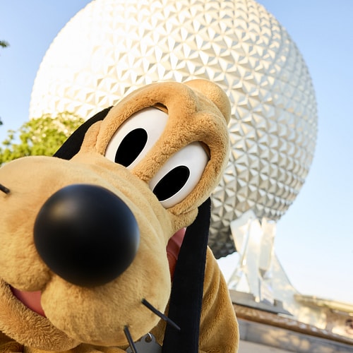 Walt Disney World Resort & Disney Area Villa