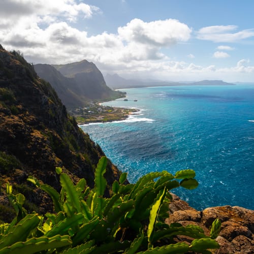 Oahu & Island of Hawaii