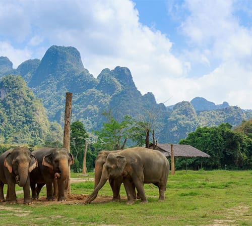 Krabi & Elephant Hills