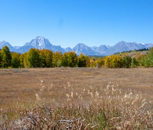 Epic NP's of Wyoming & Montana