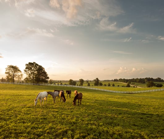 Wonders of Kentucky & Tennessee