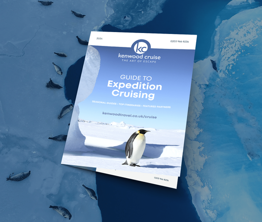 Guide To Expedition Cruises