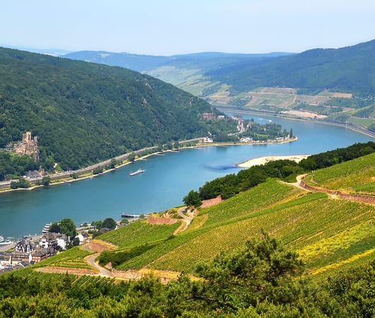 Rhine River Cruises