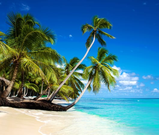 Caribbean