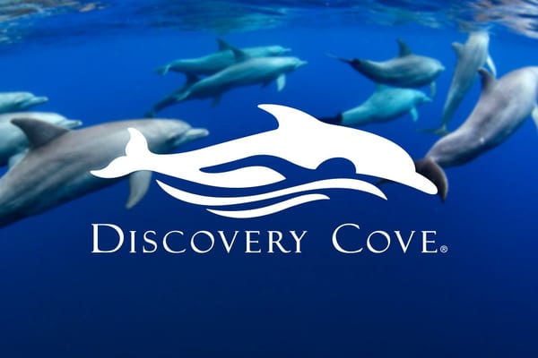 Discovery Cove Ultimate Package